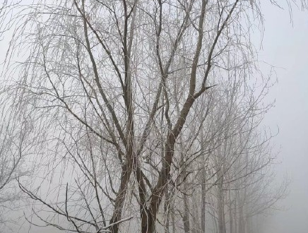 1579498506608_884 - 副本.png