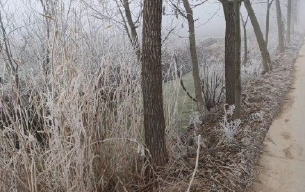 1579498506715_374 - 副本.png