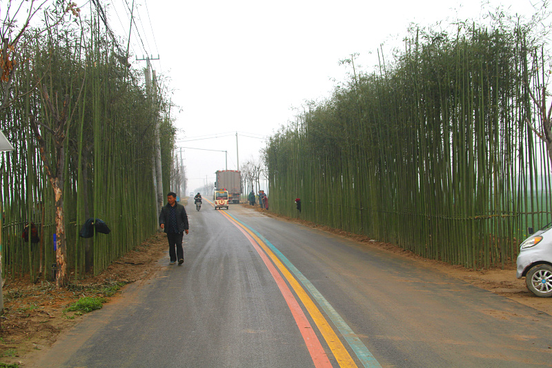 丰县彩虹路图片