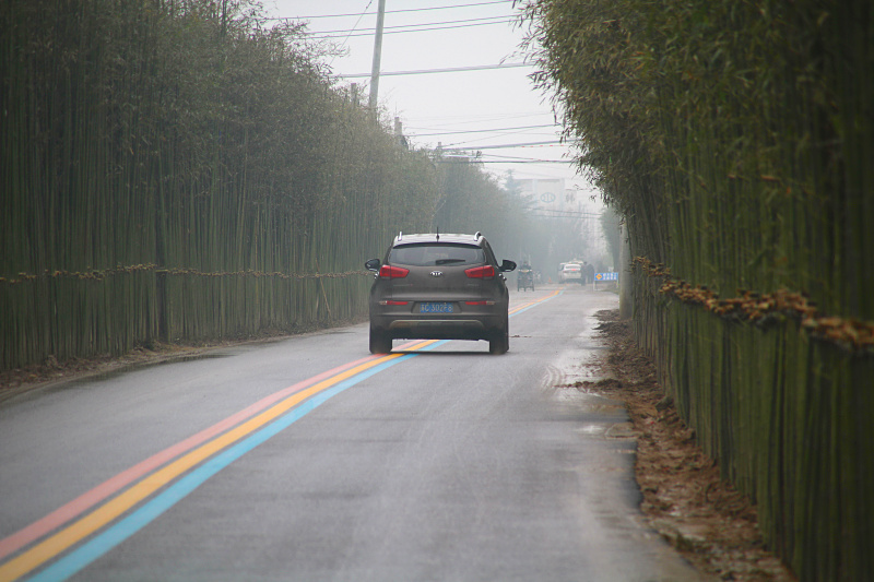 丰县彩虹路图片