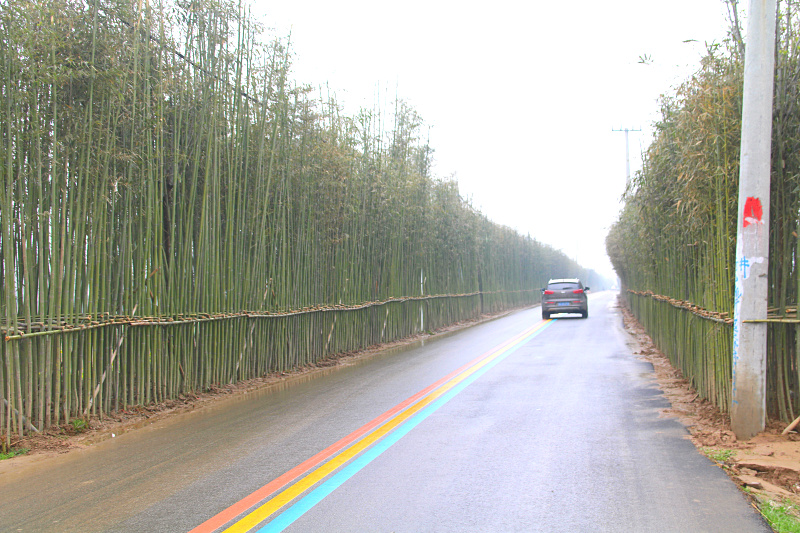 丰县彩虹路图片