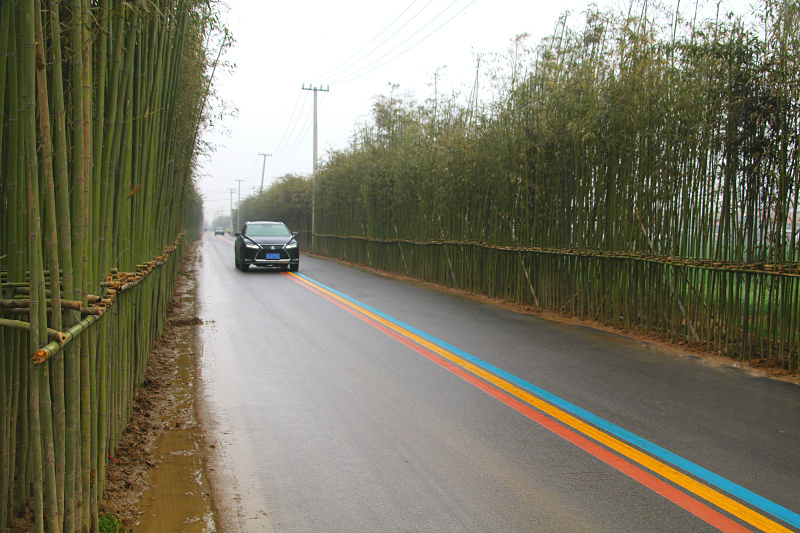 丰县彩虹路图片