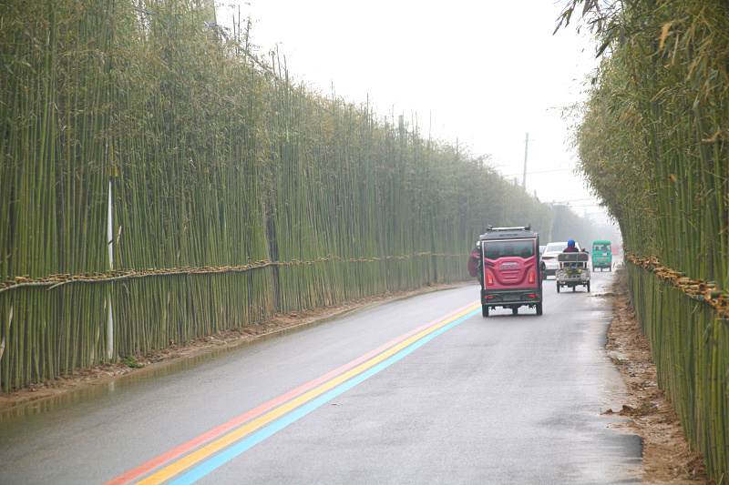 丰县彩虹路图片