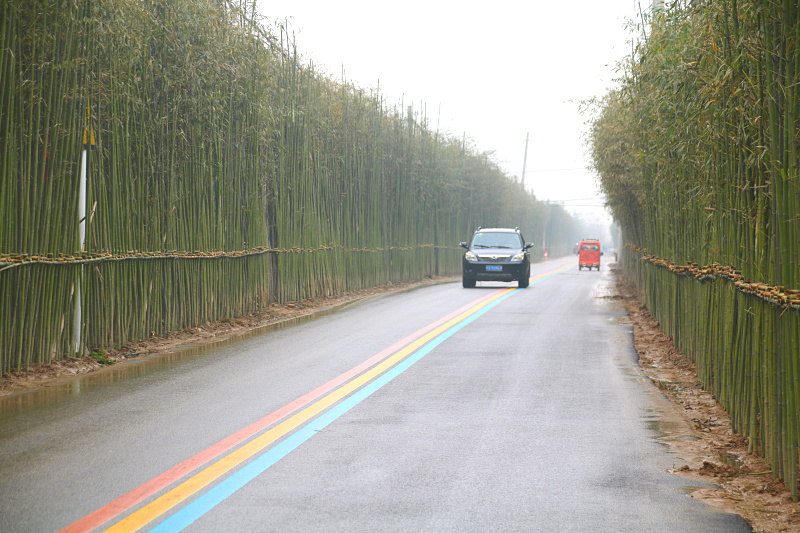 丰县彩虹路图片