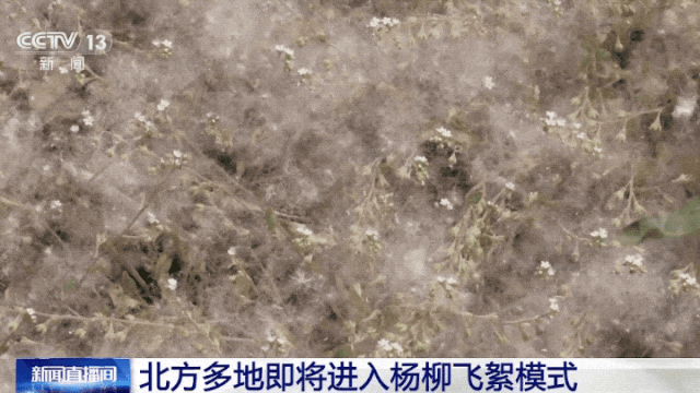 085218en2yn6wzty5nyvzu.gif