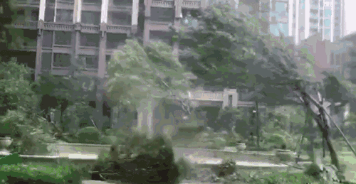 20250412150356front2_0_265_Fh0FKWj5A4C-eEv-t9t4H5ypGogV.GIF