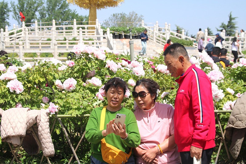 IMG_8391.jpg