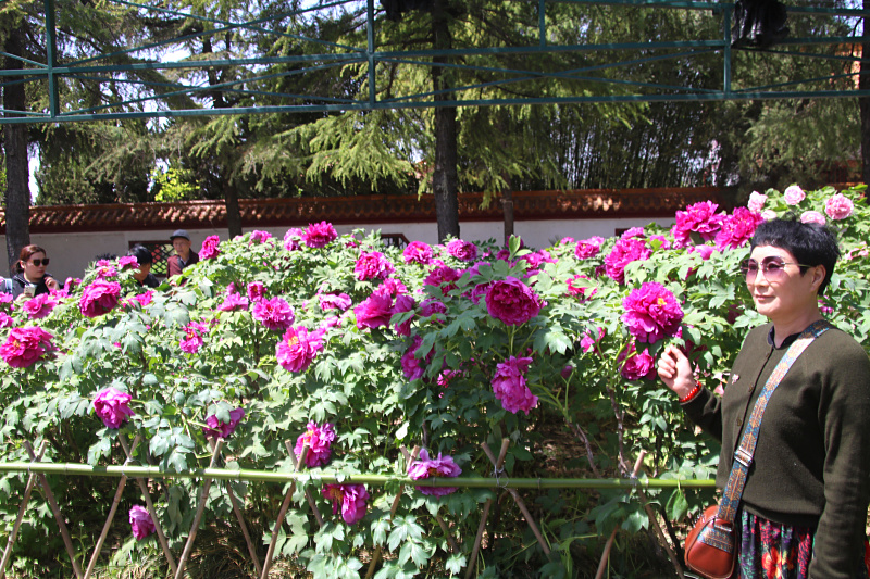 IMG_8321.jpg