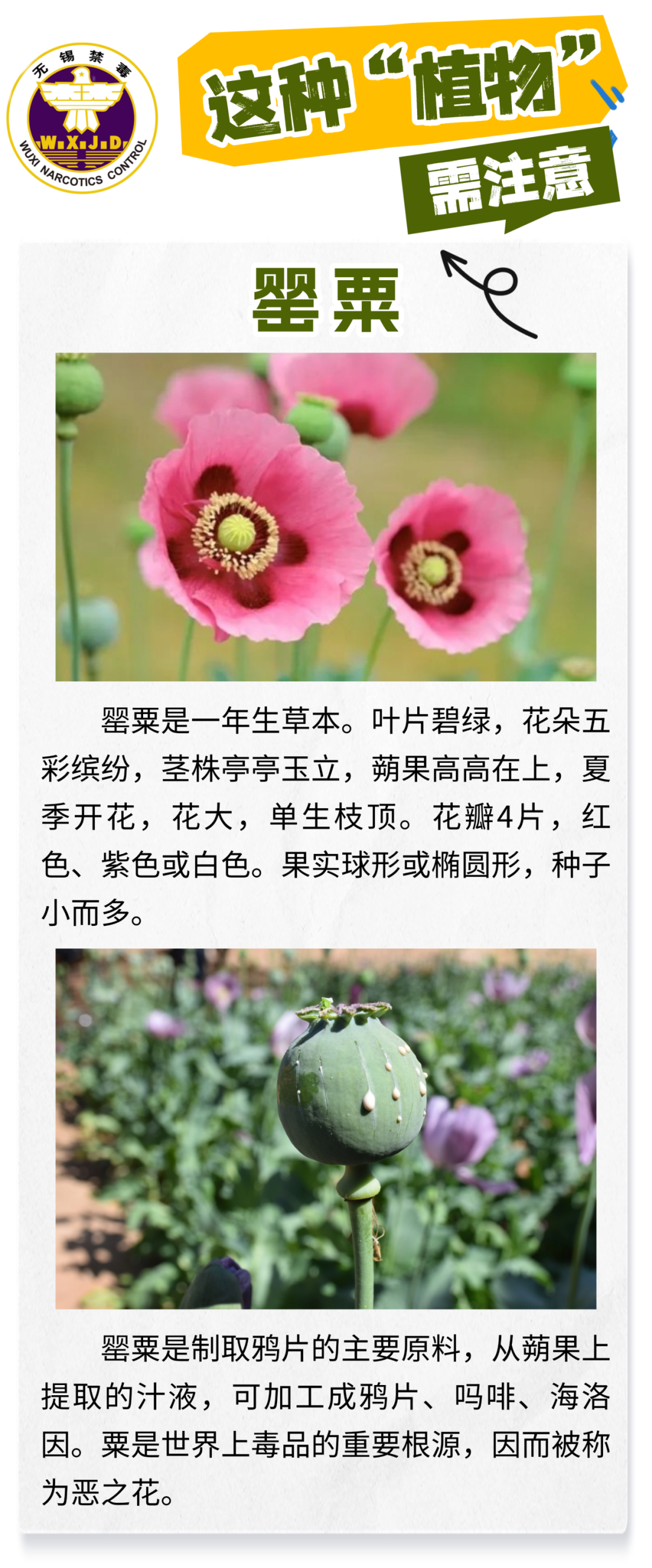 090019un42voh877qntv7v.png