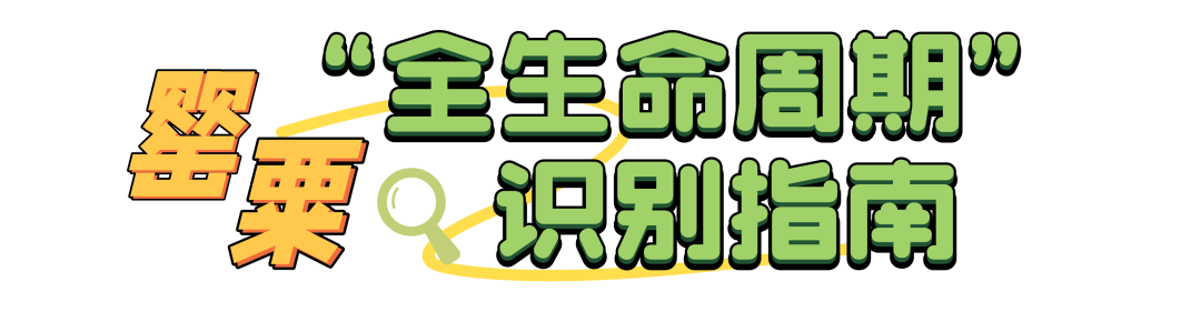 090019wq5tiiss4f3iiqqa.png