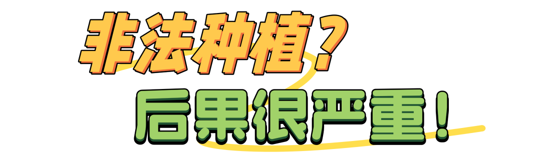 090020eq69xt9idp4qdzaf.png