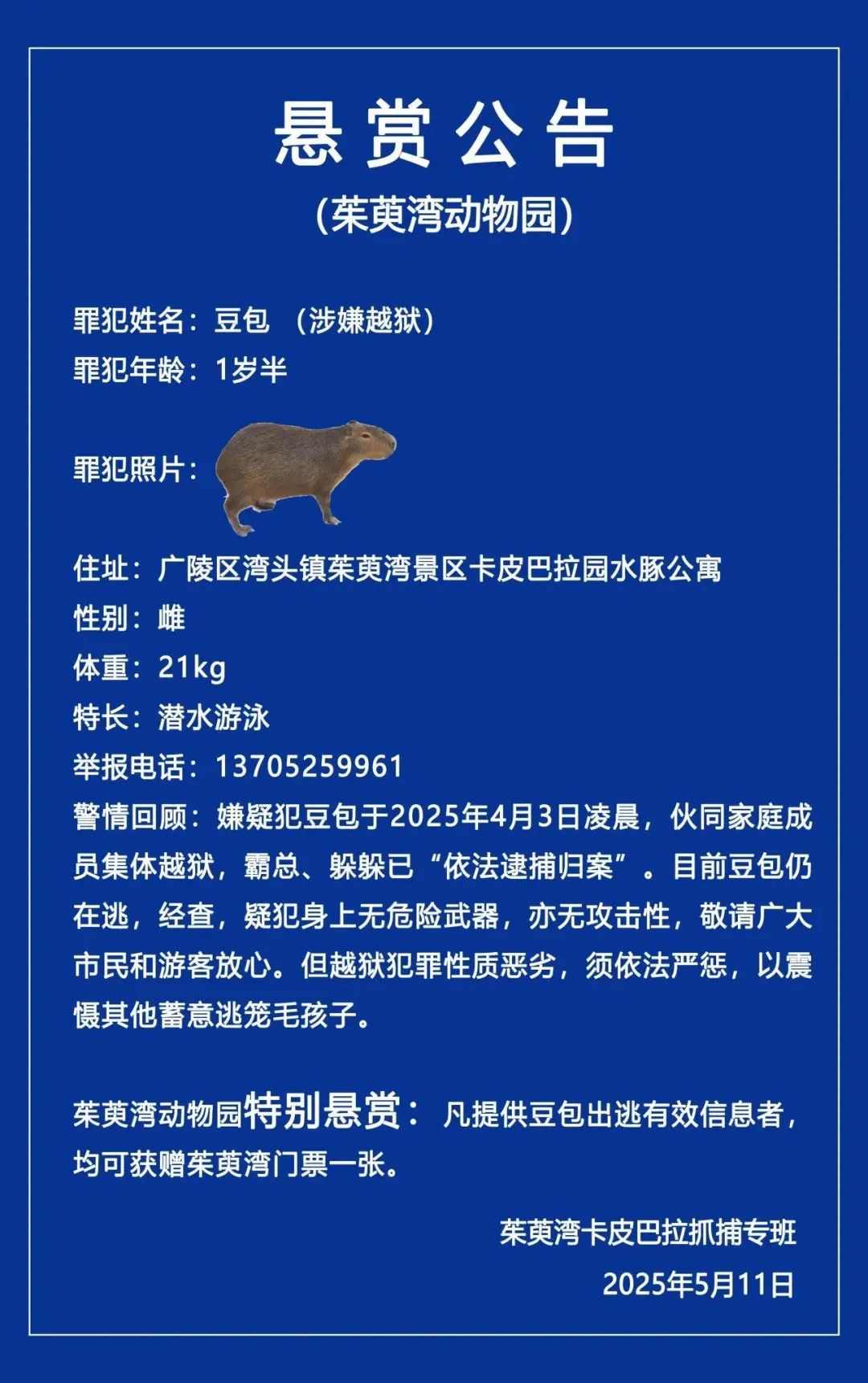140753gmyygyyyz05yfog6.jpeg