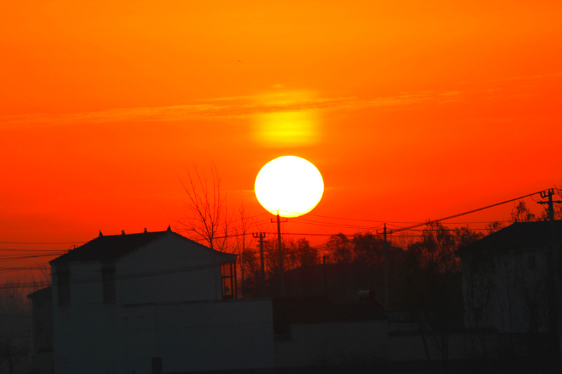 IMG_1577.jpg