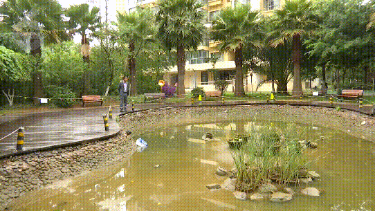 083858orjq66qluuq2v6g0.gif