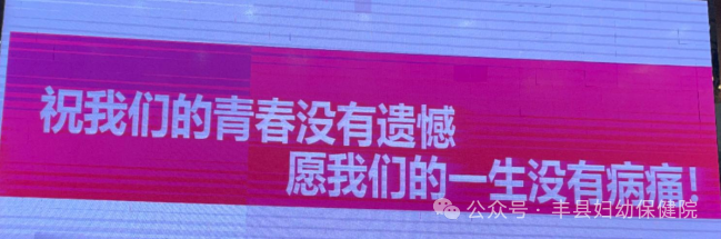 155027mh3bdz6vhvhdd63w.png