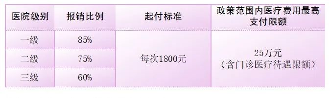 083742wdk4bd5kmspps4ds.jpeg