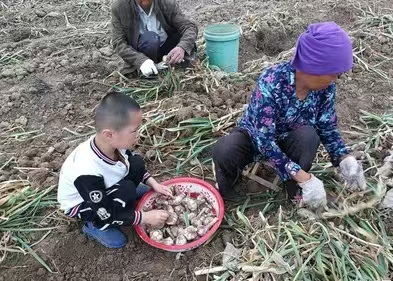 ΢ͼƬ_20250520152719.jpg
