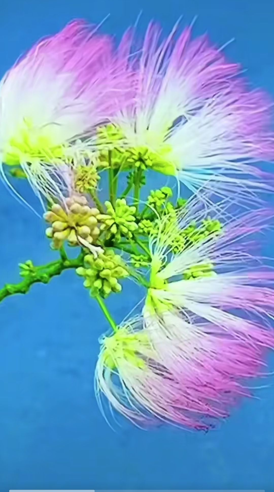 20250612091950front2_0_5867_Fqqi08xHptGz2VxxChVOnRJgEXcS.jpg
