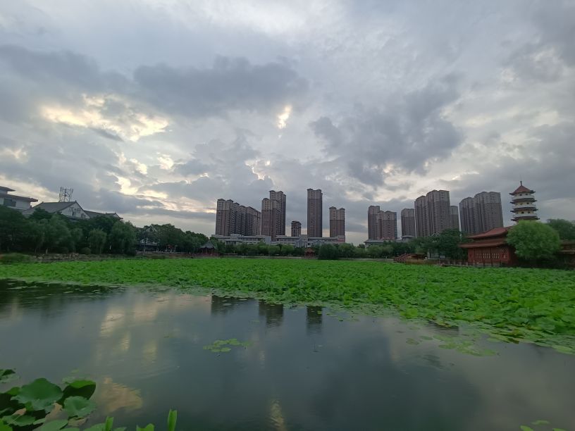 20250620145459front2_0_174904_Fk-gaPjJkZGx_qcIG5XIeUCi4Ppl.jpg