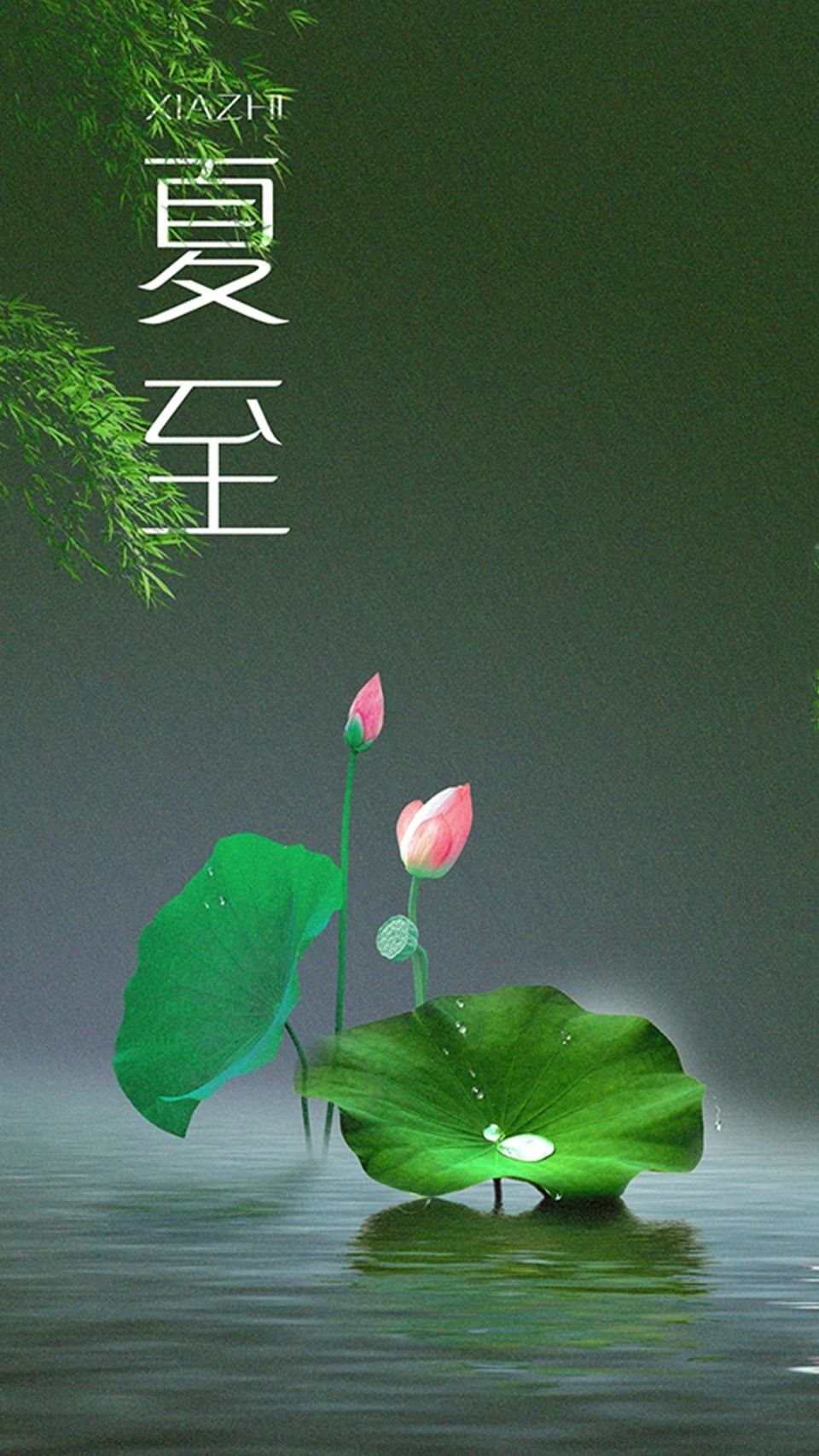 20250621171316front2_0_265_FmWLlZM9N8tDJThPfhEkK8BLJ-xL.jpg
