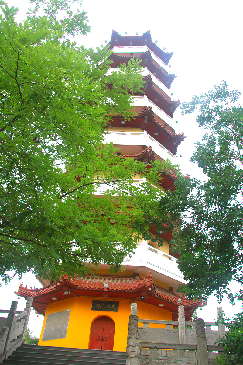 IMG_0454.jpg