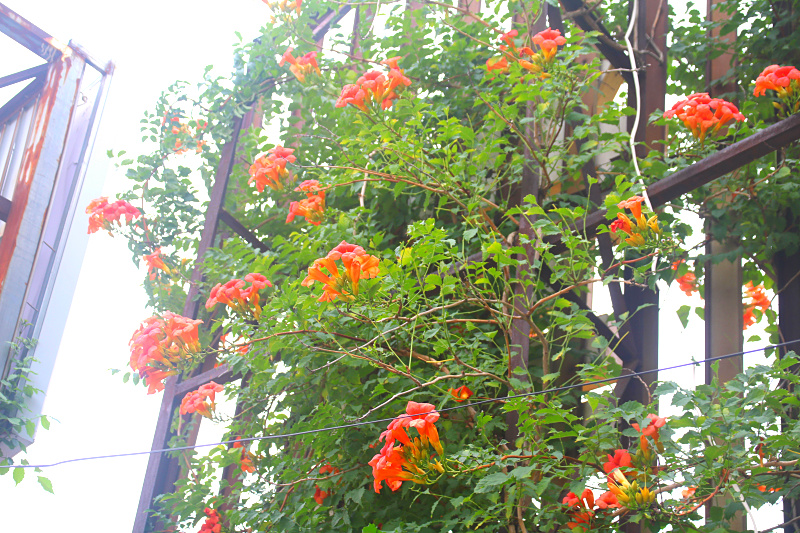 IMG_0488.jpg