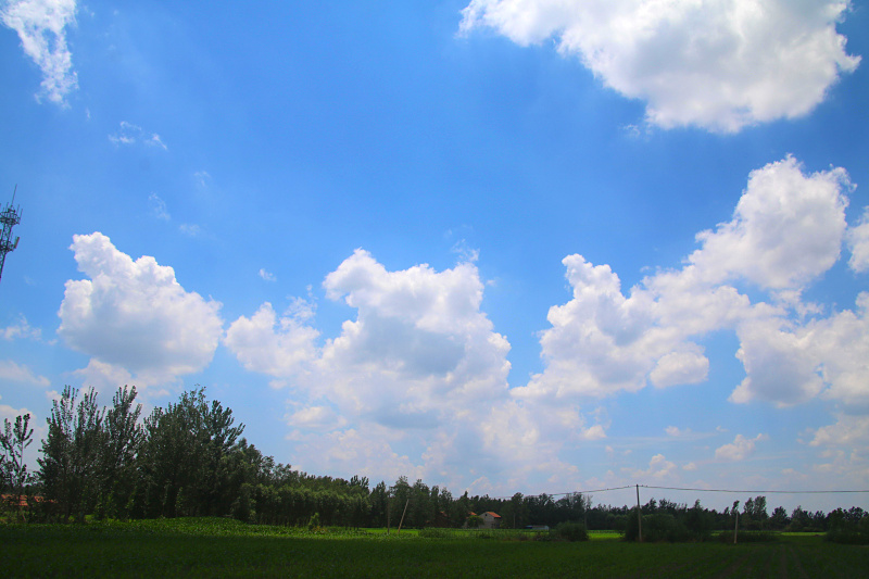 IMG_0562.jpg