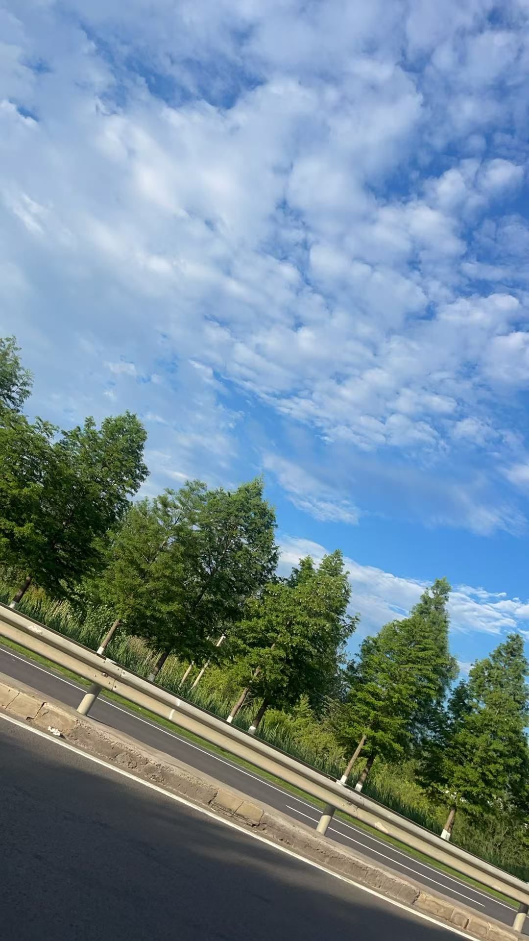 20250702180644front2_0_175140_FpLfBAJwHlW_5fLENwhD-t8fw18e.jpg