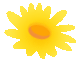 085906vrc5g7epcngrcadn.gif