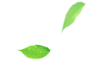 093806zc08c6rc5f6171z0.png