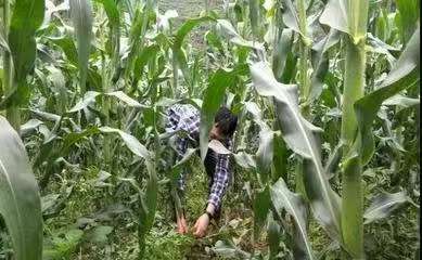 ΢ͼƬ_2025-07-14_204443_251.jpg