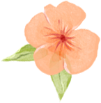 100226d41holsompd847pd.png