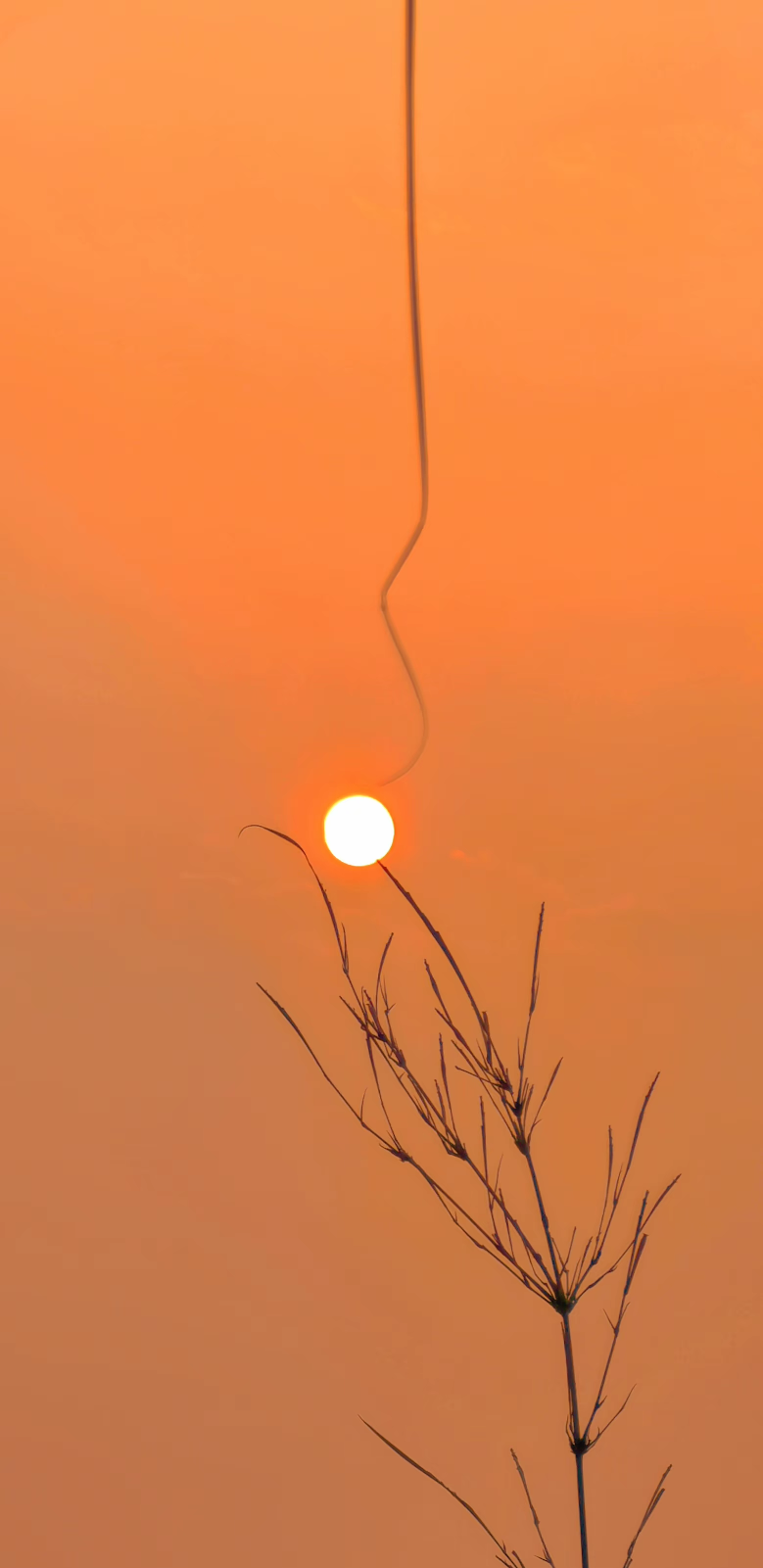 20250716125314front2_0_5867_FmDEdvAR4tGSzwmFZTfszAcaYRm7.png