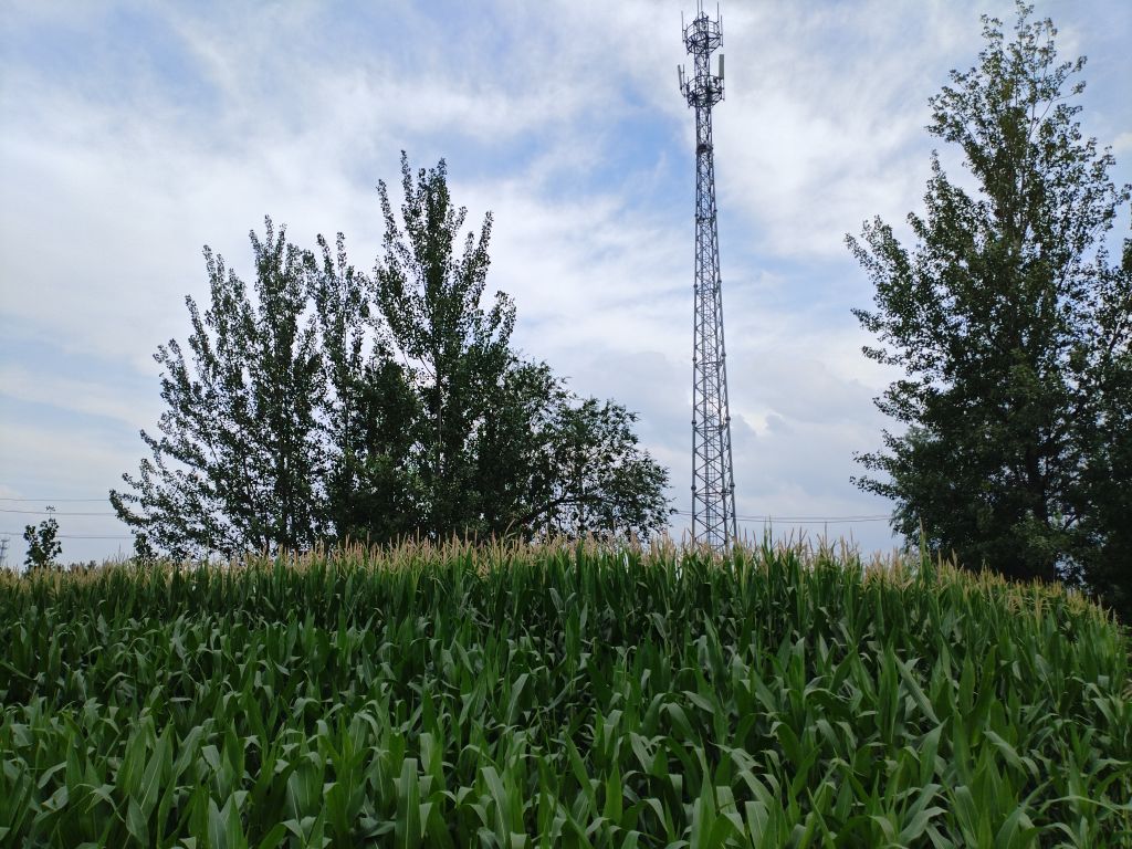 20250720192836front2_0_5867_FhIIRo3YCV7g6qw4IulbWtJOVy1S.jpg