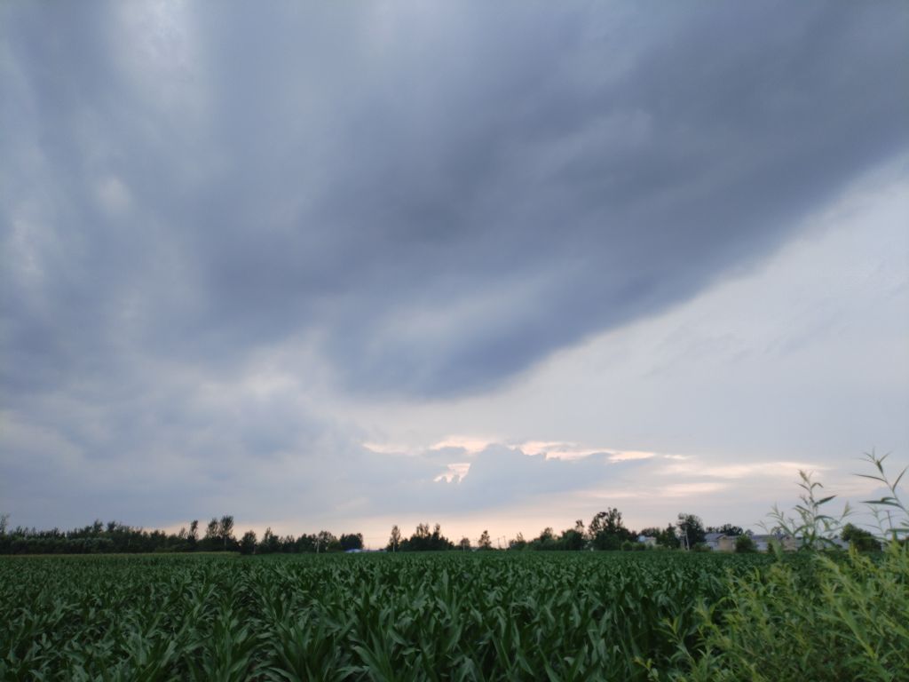 20250720192826front2_0_5867_Fo-z6xwkUgCceLzGWhnyiuw8dgm1.jpg