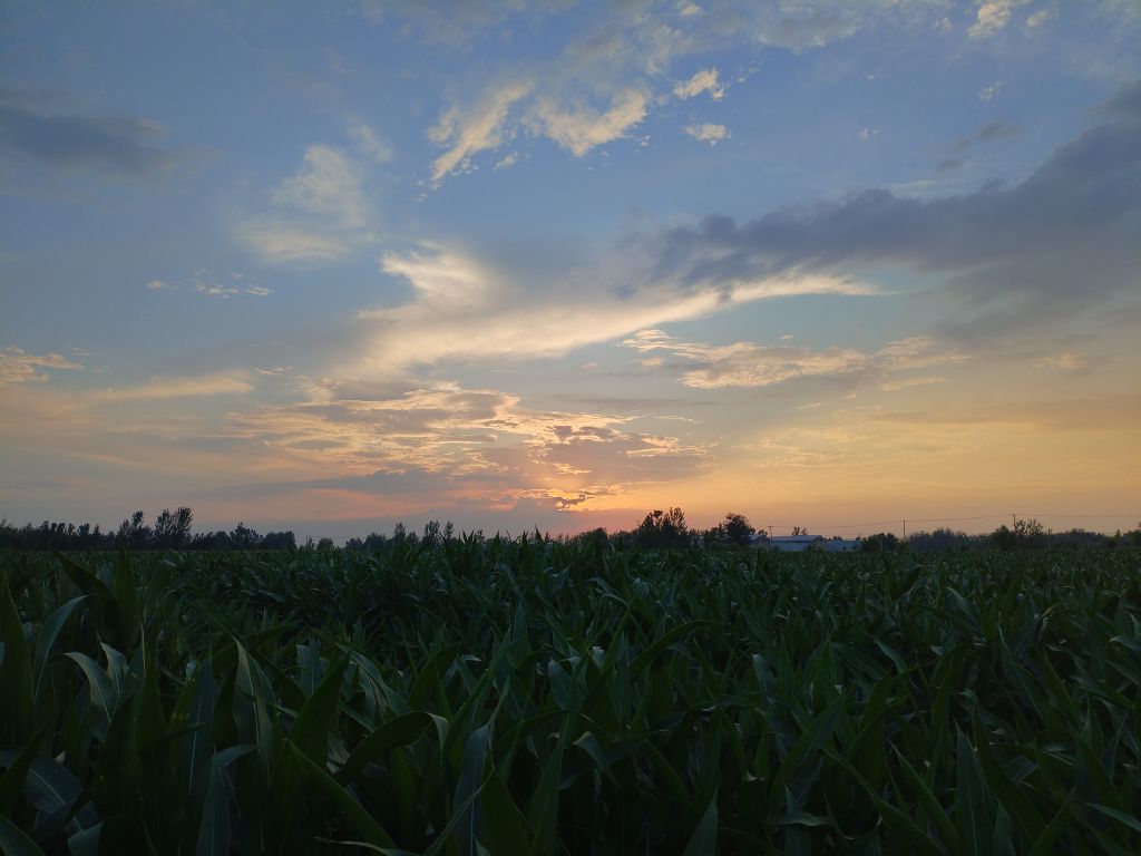 20250721203449front2_0_5867_FviUc05O4606KpjF4vjoBM-QL7s1.jpg