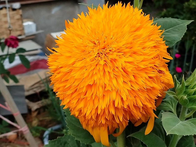 ΢ͼƬ_2025-07-22_125817_241.jpg