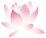 092728wiz8gyd82zzi2yqg.png