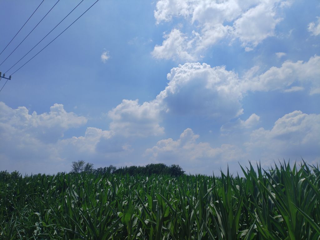 20250727134532front2_0_5867_FrTZZcRO-TpdXK-0LqrYrCu-baJF.jpg