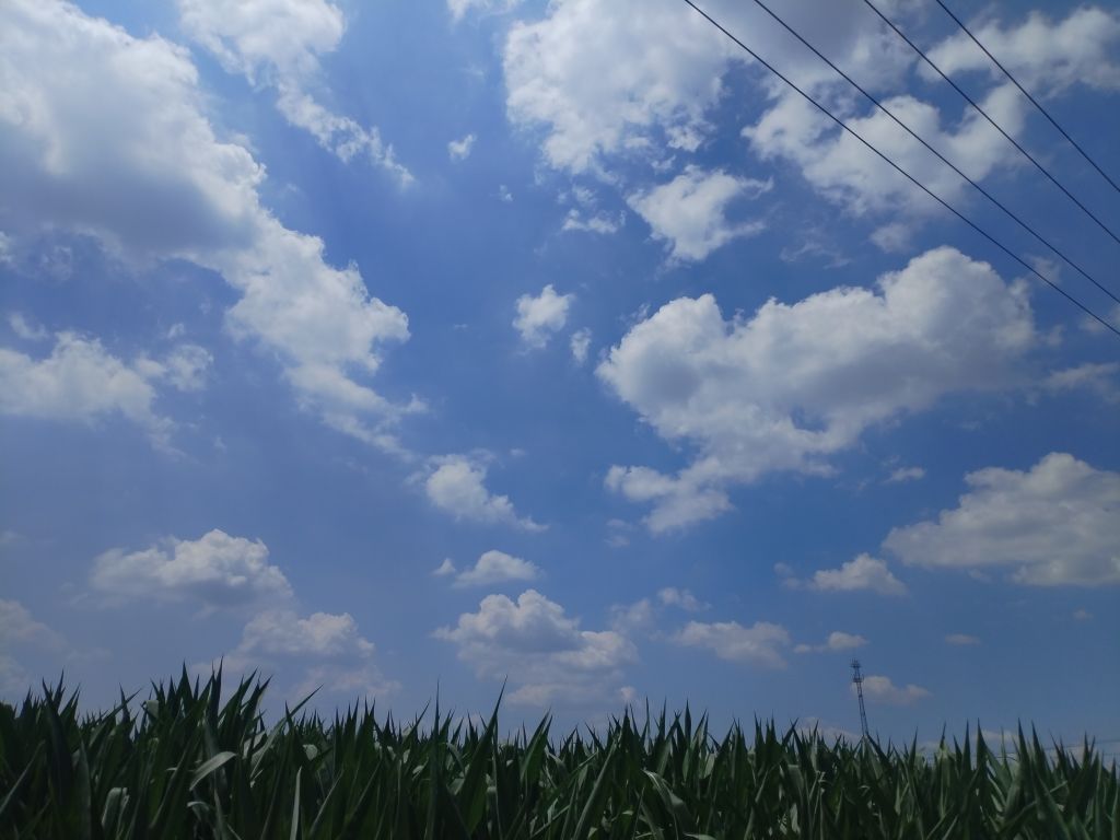 20250727134531front2_0_5867_Fk2KSfke3Bc_wUBXDV98k9s6pN3l.jpg