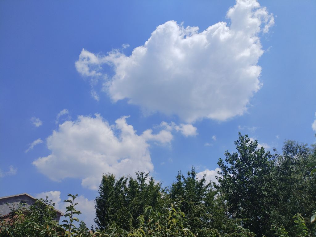 20250727134534front2_0_5867_FuVgKx61JVKnRyCcOrE8CvvOAPCV.jpg