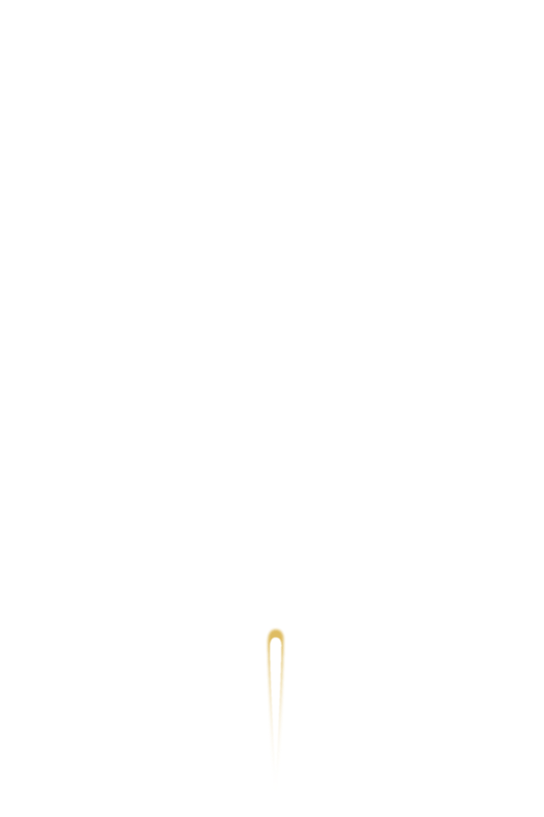 085707p1nzgupnpalupgne.gif