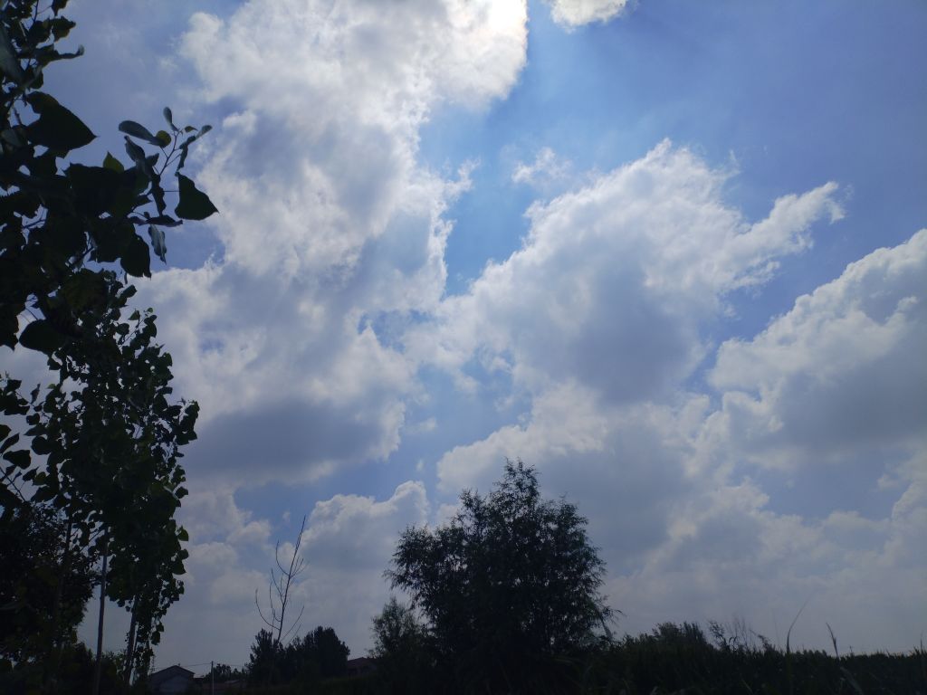 20250729083004front2_0_5867_FmR3kpc3Few0GgxCKaYuVMaVqaH7.jpg