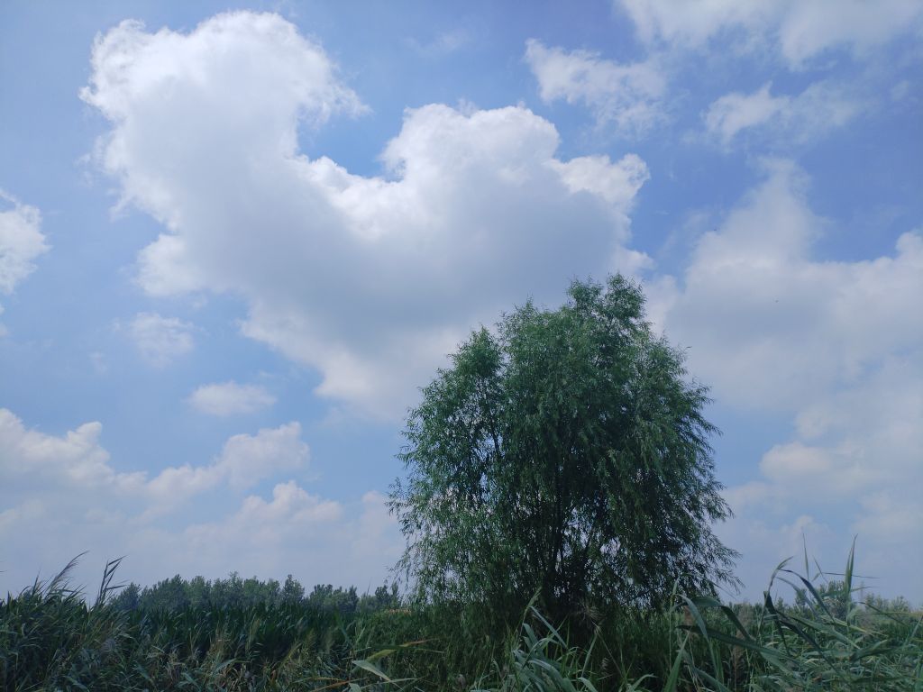 20250729083005front2_0_5867_Fs1W8hxI8k8T4xCrSvhAXmsqm2t9.jpg