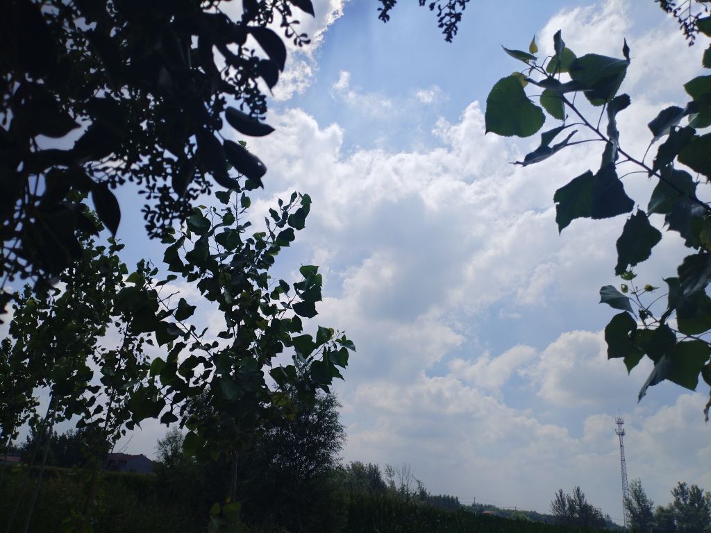20250729083005front2_0_5867_FkJKGkUaRNB0VuE860RG0_fRx4Wb.jpg
