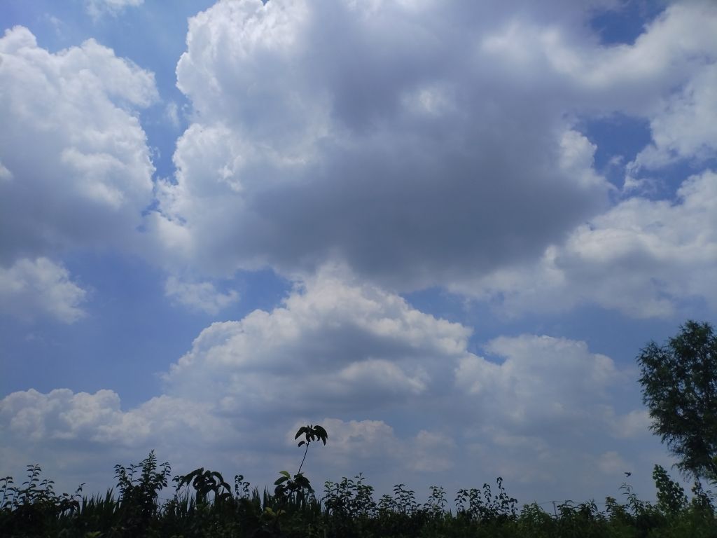 20250729083004front2_0_5867_Fvf9obchFVvbXbF1MI2cxXuXPTwW.jpg