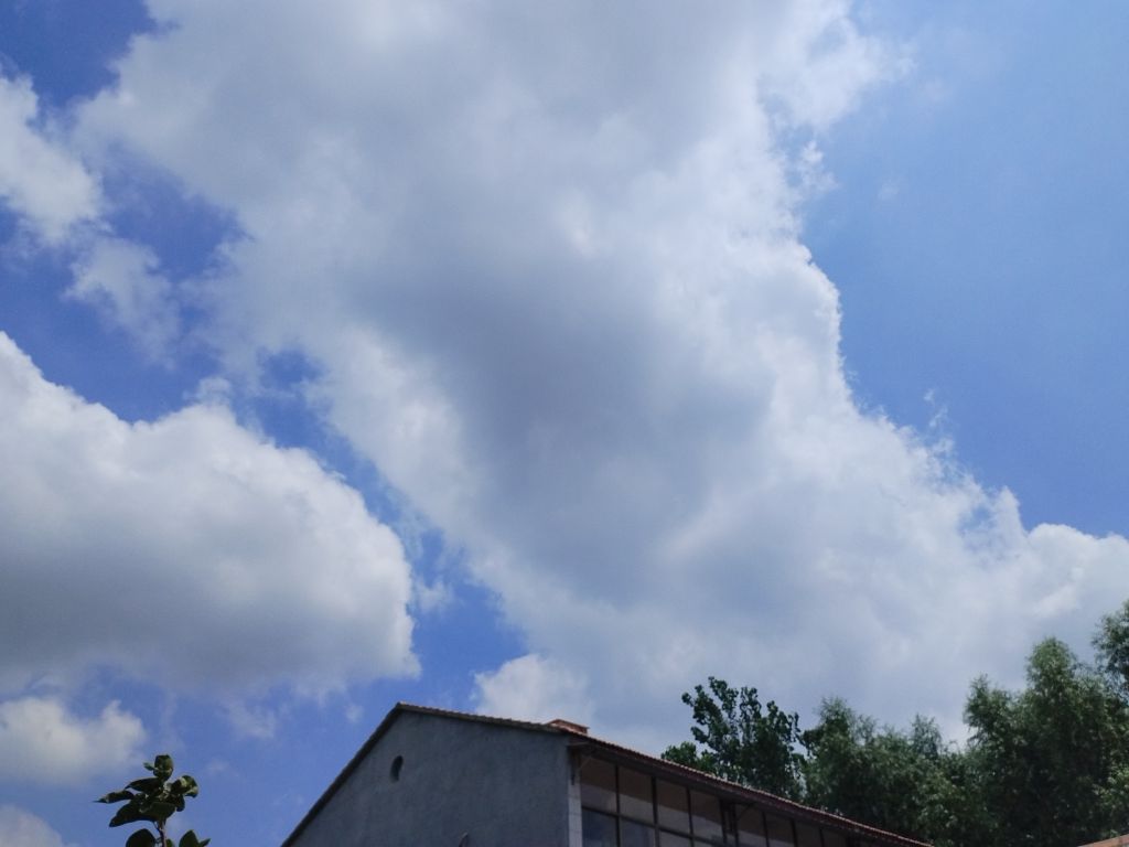 20250729083005front2_0_5867_FnNFq3WQ-sBNSAPkCcB9VHFy7fA9.jpg