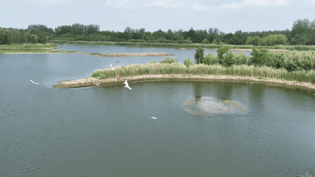 150047ayf07qgugy7uamw7.gif