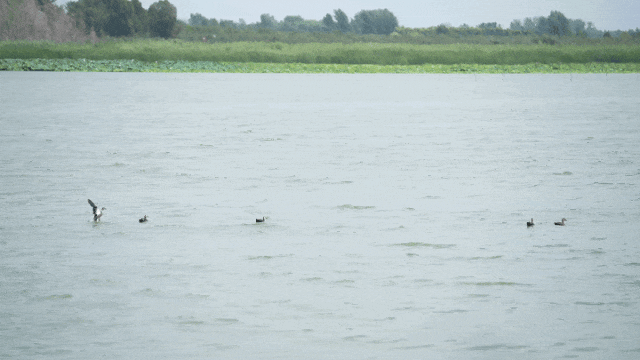 150048qmuncr2t3rcxevrw.gif