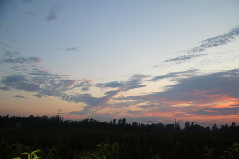 IMG_0797.jpg